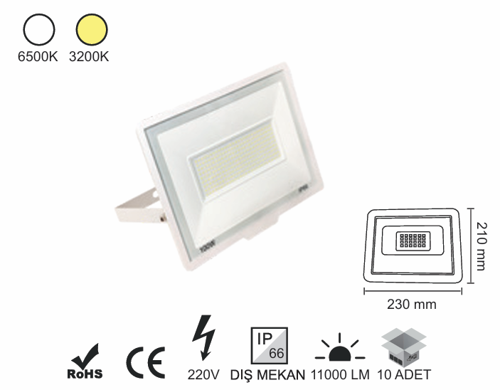Düz Projektör 100 Watt