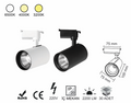 Ray Spot 20 Watt