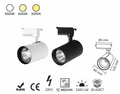 Ray Spot 30 Watt